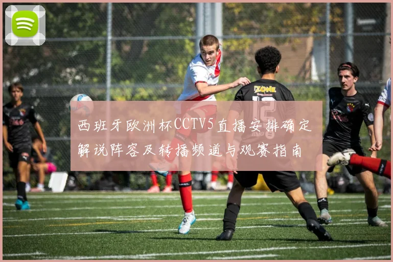 西班牙欧洲杯CCTV5直播安排确定 解说阵容及转播频道与观赛指南