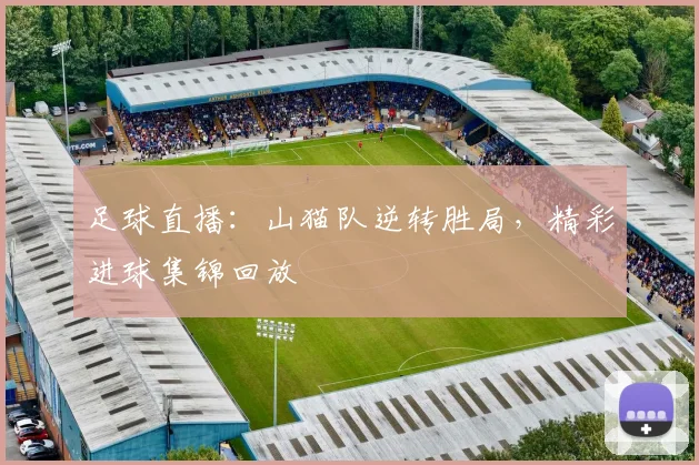 足球直播：山猫队逆转胜局，精彩进球集锦回放