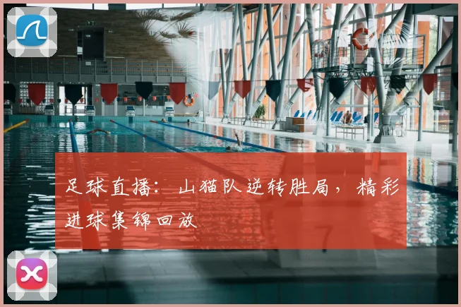 足球直播：山猫队逆转胜局，精彩进球集锦回放