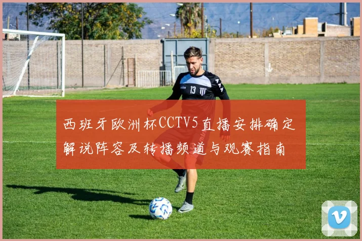 西班牙欧洲杯CCTV5直播安排确定 解说阵容及转播频道与观赛指南