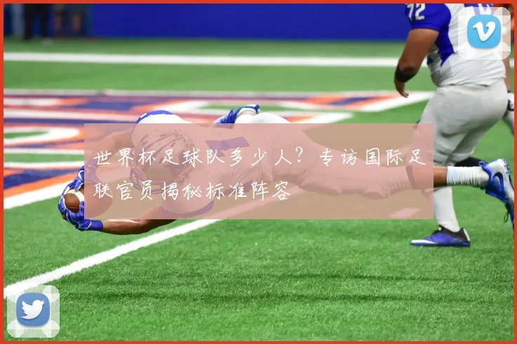 世界杯足球队多少人?专访国际足联官员揭秘标准阵容