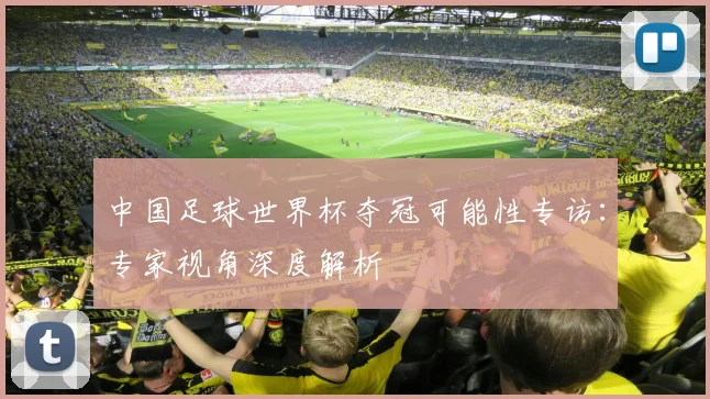 中国足球世界杯夺冠可能性专访：专家视角深度解析